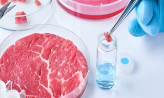 Лабораторный анализ пищевых продуктов по СанПиН в Белебее в октябре