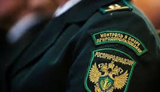 Подготовка к проверке Росприроднадзора в Белебее от ПромМир, стоимость услуги от 20402 руб.